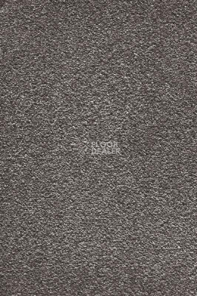 Ковролин AW Masquerade Moana 49 фото 1 | FLOORDEALER